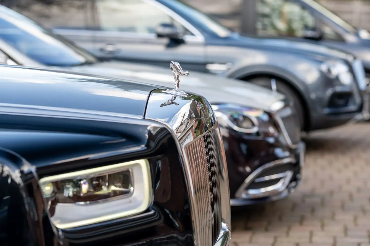 Luxury Cars all lined up