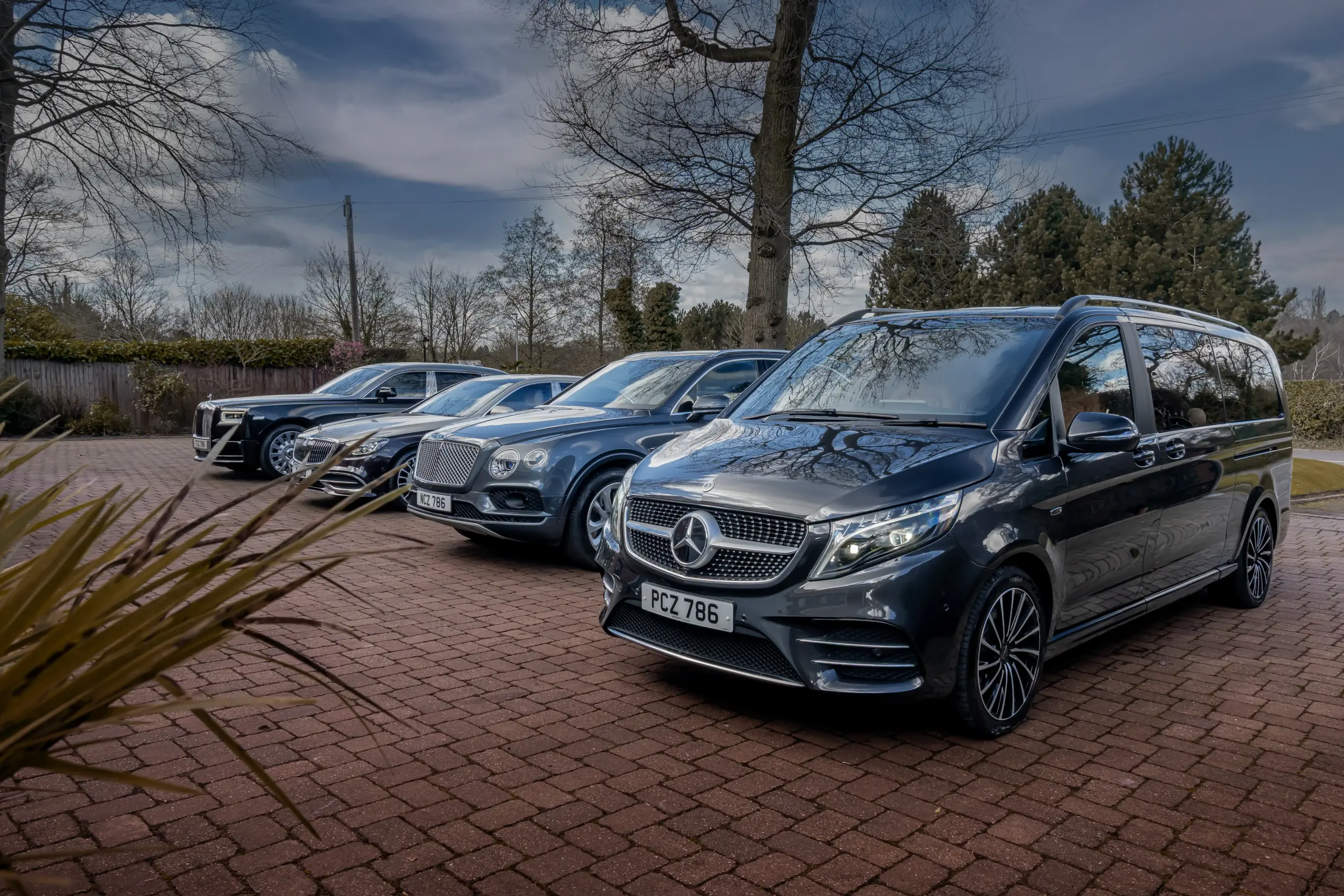 Collection of cars